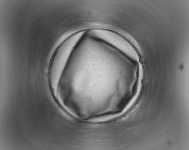 X0000116351381201001131057