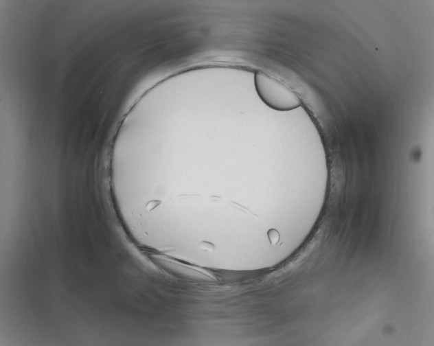 X0000116351382201001131057