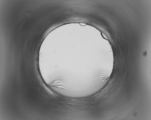 X0000116351383201001131057