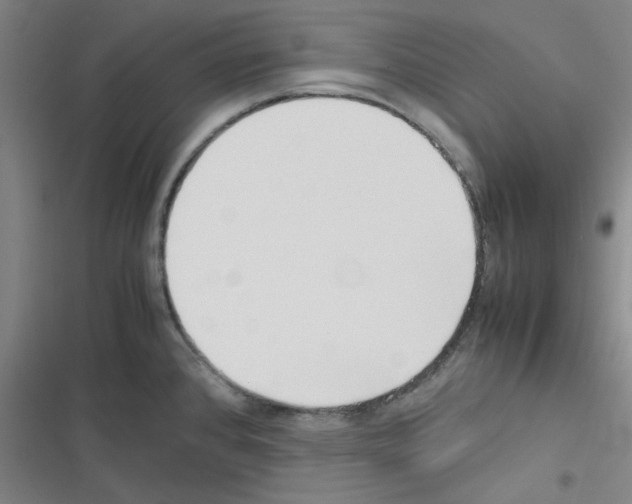 X0000116351384201001131057