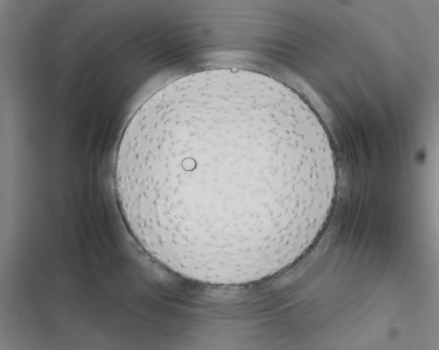 X0000116351386201001131057