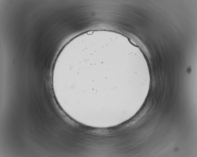 X0000116351388201001131057