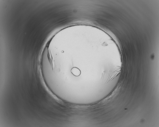 X0000116351389201001131057