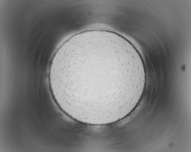 X0000116351390201001131057