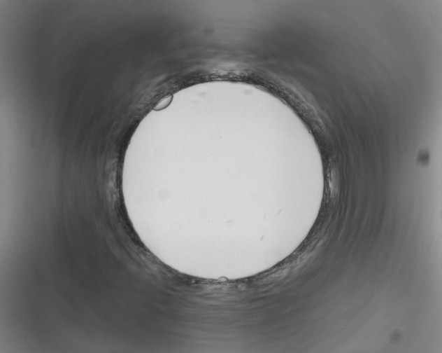 X0000116351396201001131056
