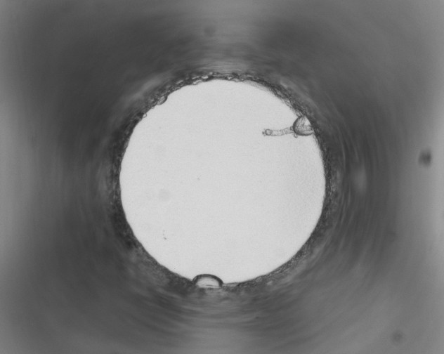 X0000116351398201001131056