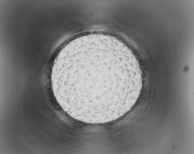 X0000116351400201001131056