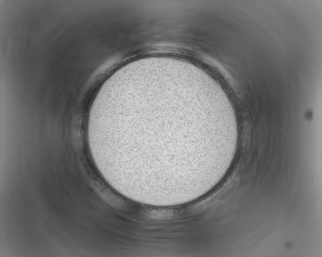 X0000116351403201001131056