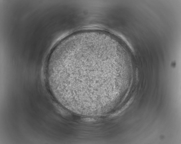 X0000116351405201001131056