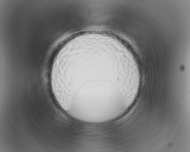 X0000116351406201001131056