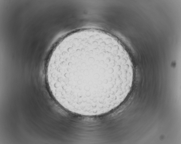 X0000116351408201001131056