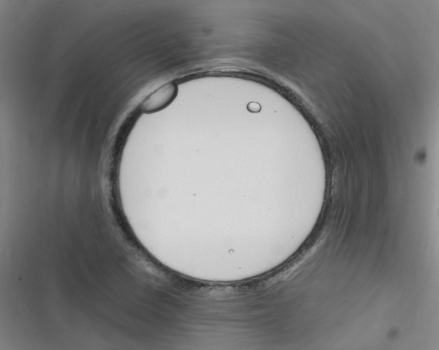 X0000116351410201001131056