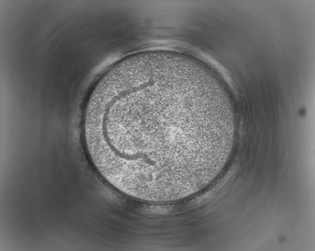 X0000116351411201001131056