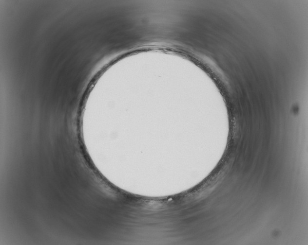 X0000116351412201001131056