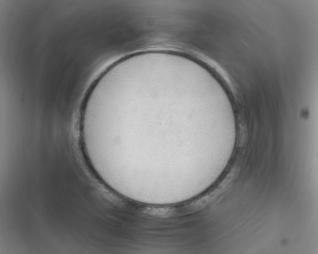 X0000116351415201001131057
