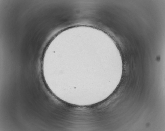 X0000116351416201001131057