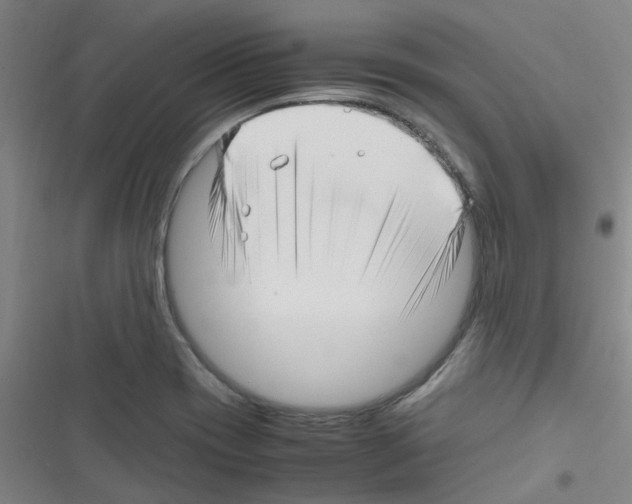 X0000116351417201001131057