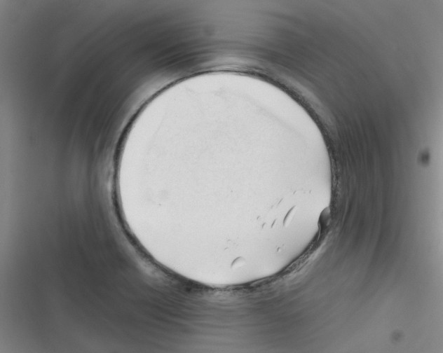 X0000116351418201001131057
