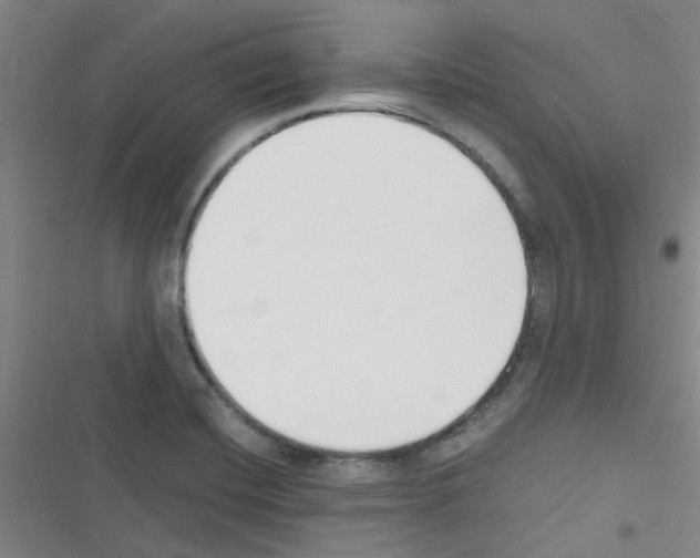 X0000116351420201001131057
