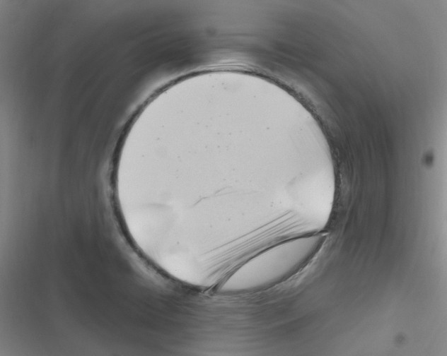 X0000116351422201001131057