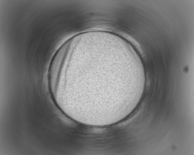X0000116351423201001131057