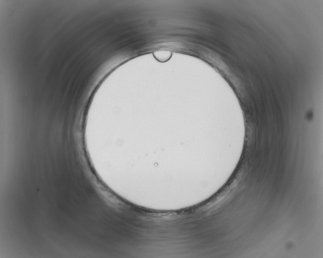 X0000116351426201001131057