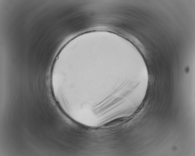 X0000116351428201001131057