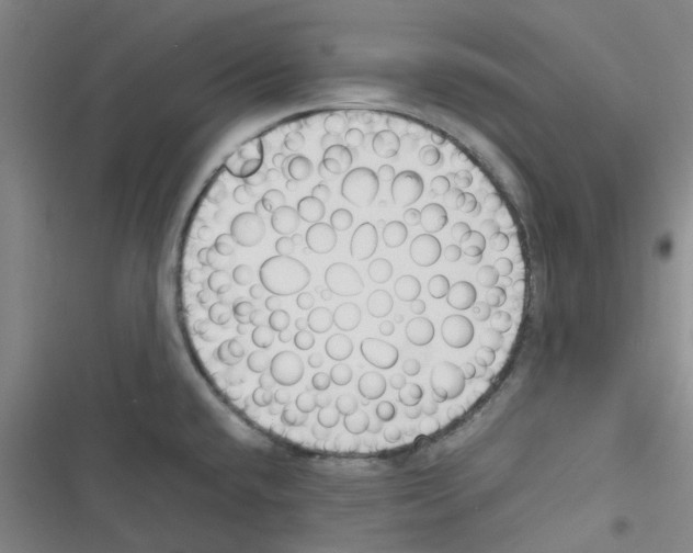 X0000116351432201001131057