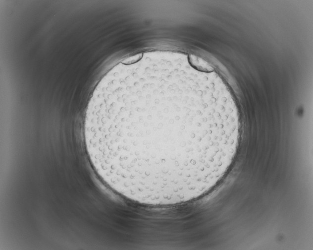 X0000116351433201001131057