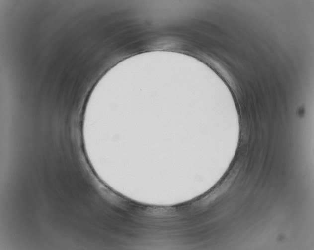 X0000116351434201001131057