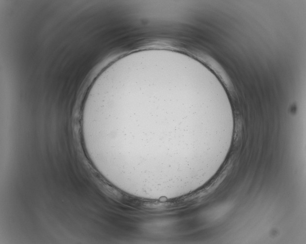 X0000116351435201001131057