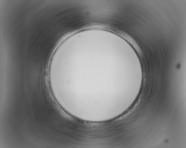 X0000116351436201001131057