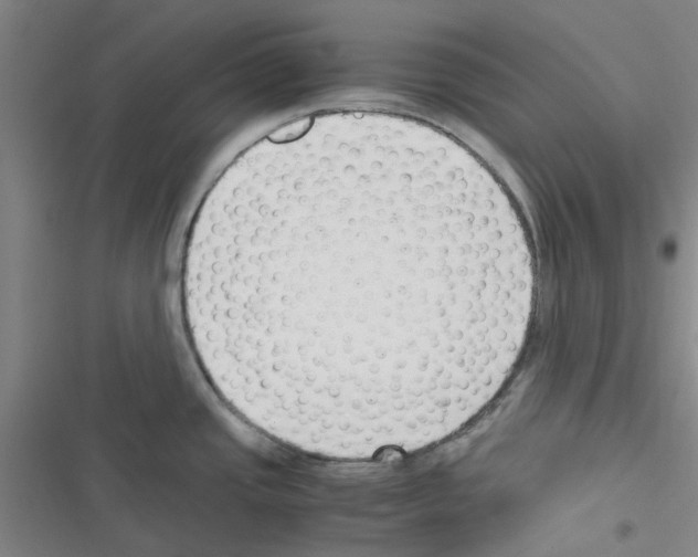 X0000116351437201001131057