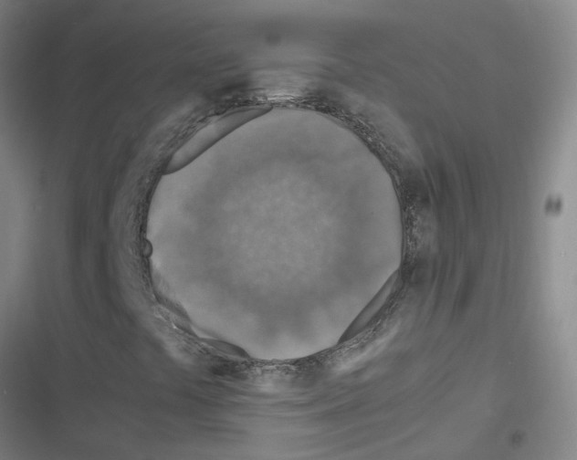 X0000116351441201001131056