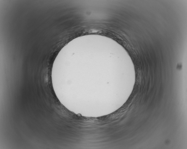 X0000116351442201001131056