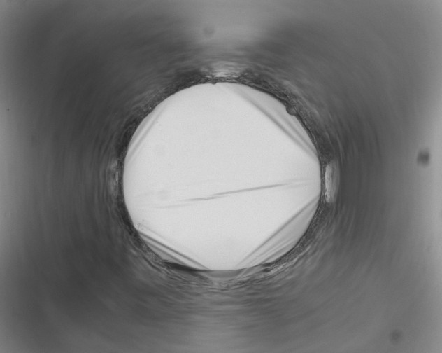 X0000116351443201001131056