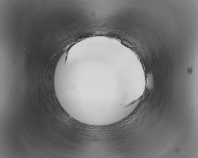 X0000116351444201001131056
