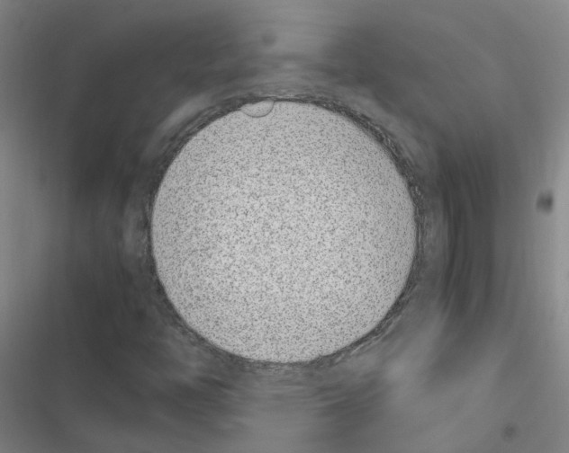 X0000116351446201001131056