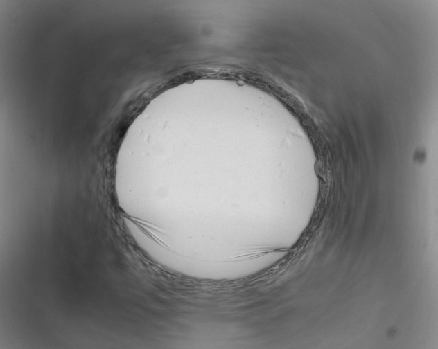 X0000116351447201001131056