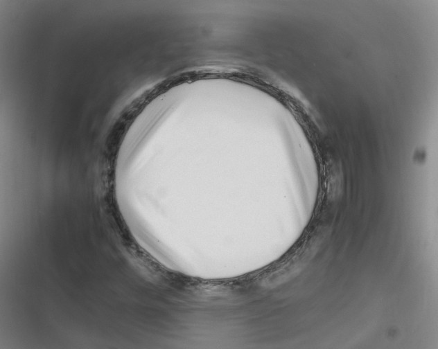 X0000116351448201001131056
