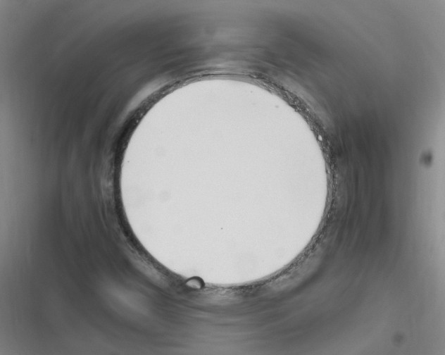 X0000116351450201001131056