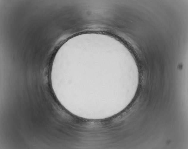 X0000116351451201001131056