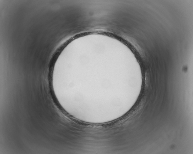X0000116351452201001131056