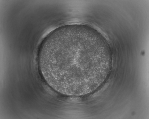 X0000116351453201001131056