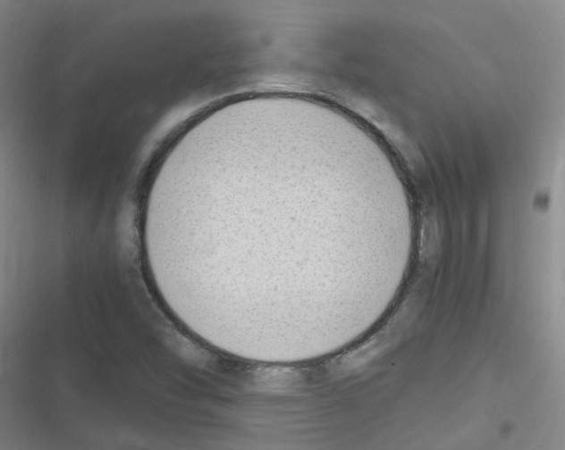 X0000116351454201001131056