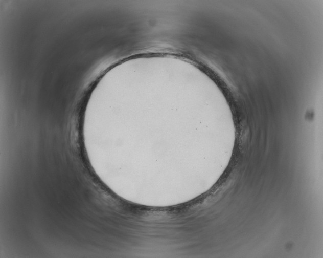 X0000116351455201001131056