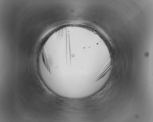 X0000116351456201001131056