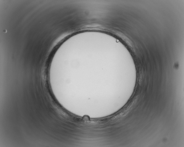 X0000116351458201001131056