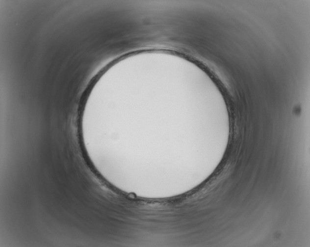 X0000116351460201001131056