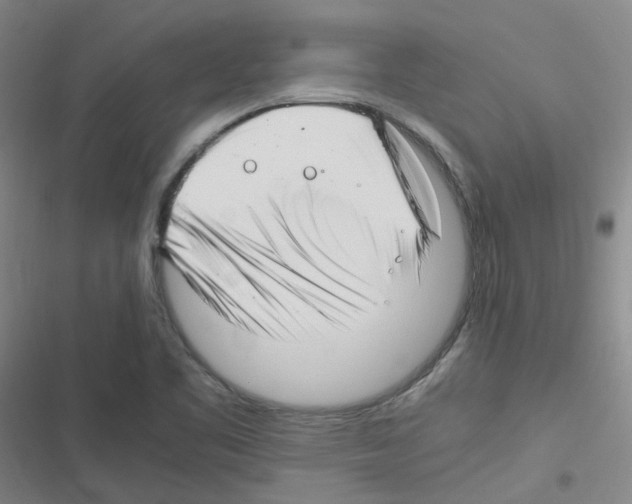 X0000116351461201001131056